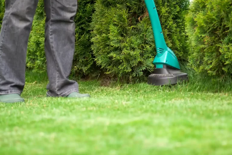 Miglior decespugliatore a batteria professionale per un giardino impeccabile