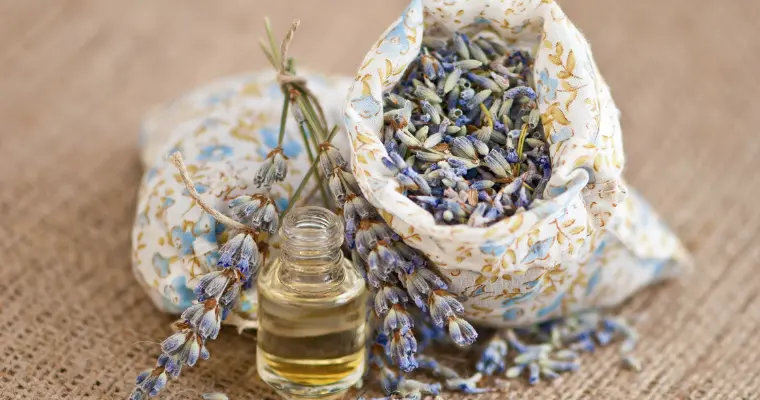 profumo lavanda fatto in casa